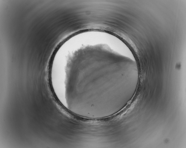 X0000101971037200808151333