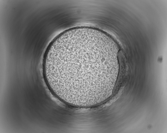 X0000101971038200808151333