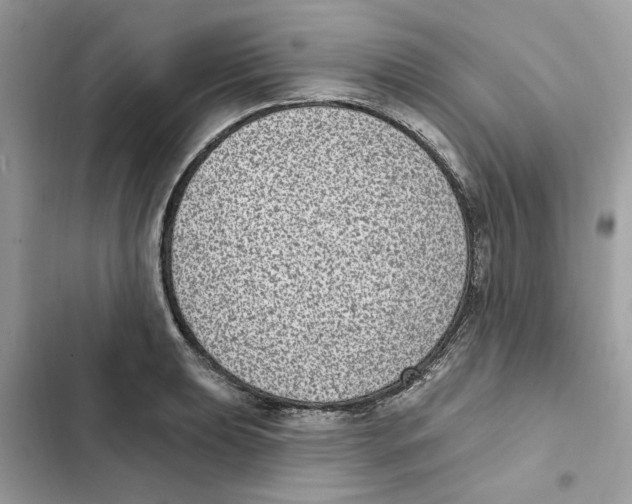 X0000101971039200808151333