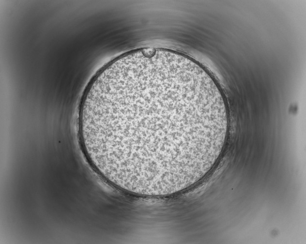 X0000101971040200808151333
