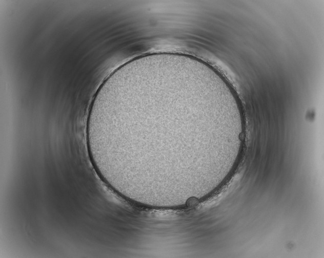 X0000101971041200808151333