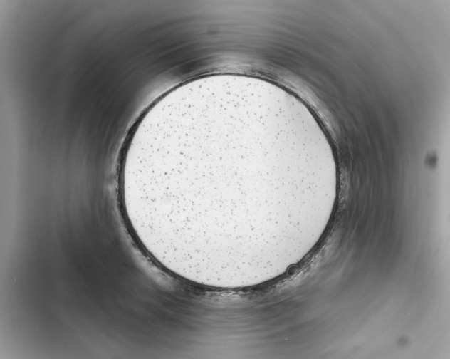 X0000101971042200808151333