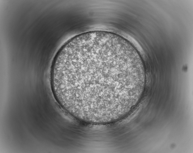 X0000101971043200808151333
