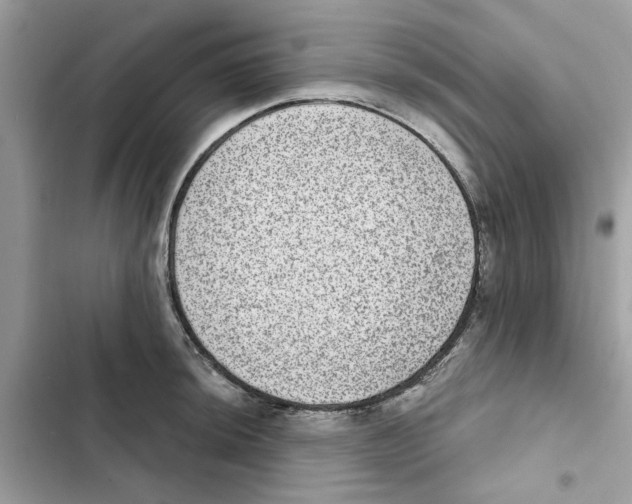 X0000101971044200808151333