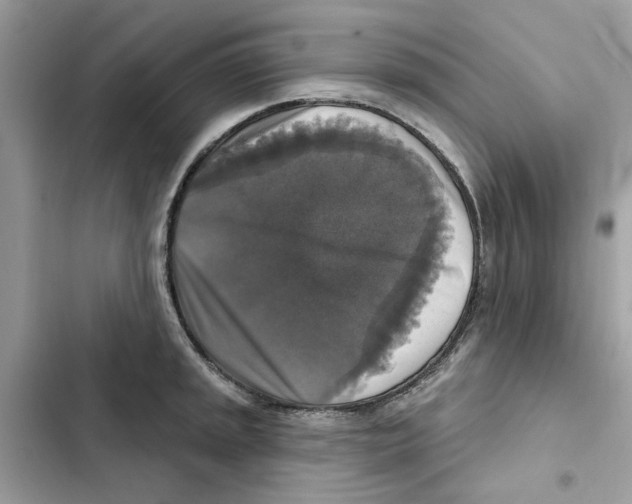 X0000101971045200808151333