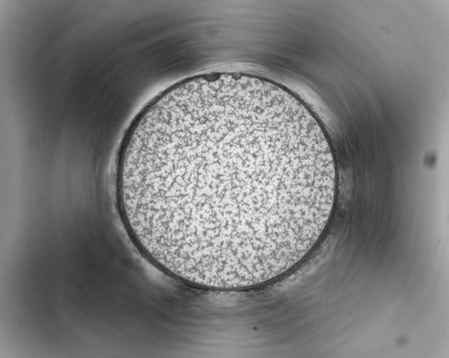 X0000101971046200808151333