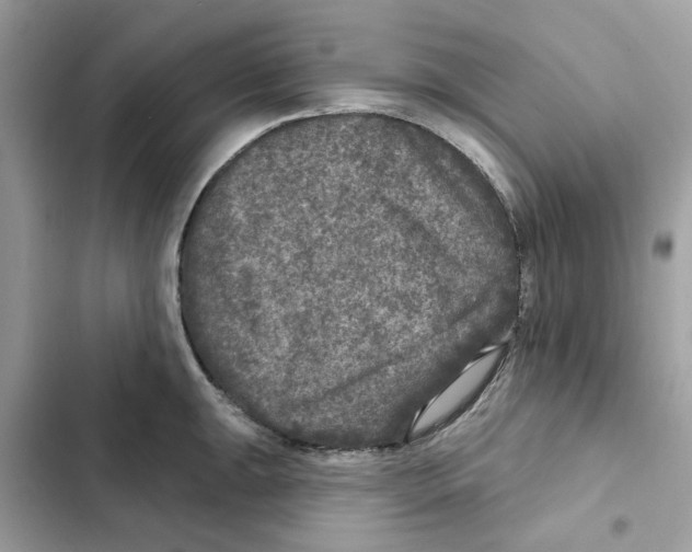 X0000101971047200808151333