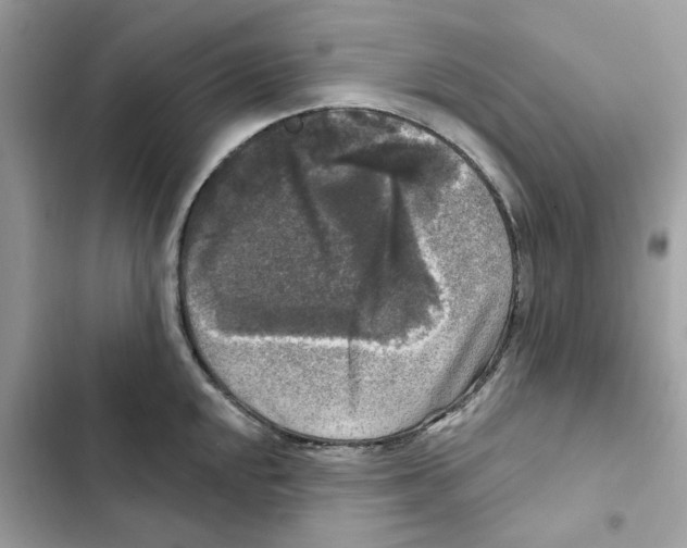 X0000101971048200808151333
