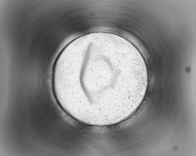 X0000101971050200808151333