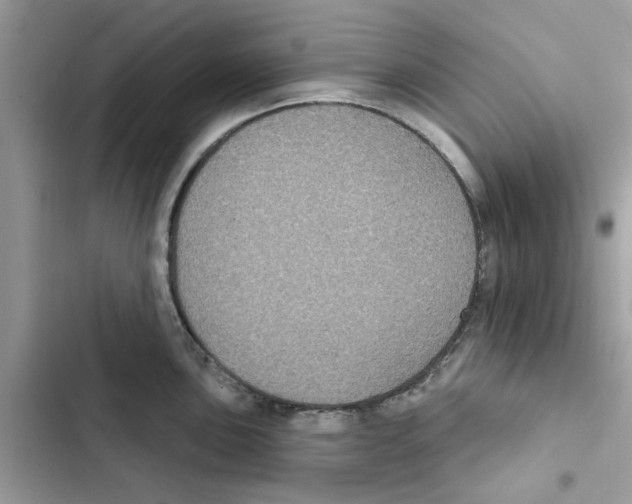 X0000101971051200808151333