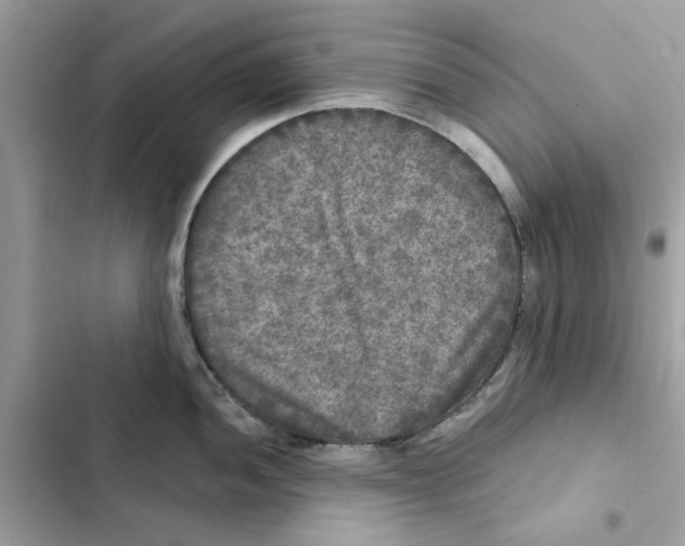 X0000101971052200808151333