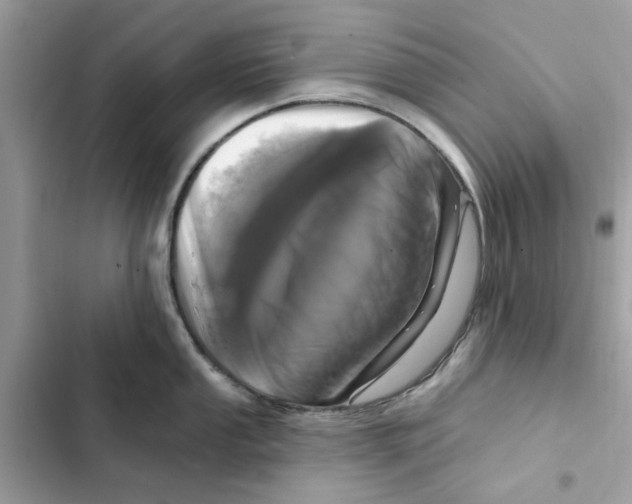 X0000101971053200808151333
