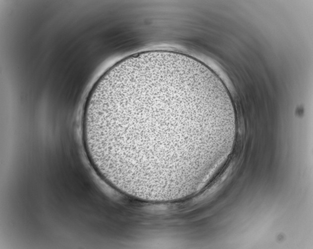 X0000101971054200808151333