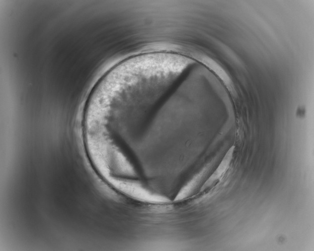 X0000101971055200808151333