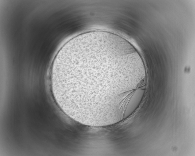 X0000101971056200808151333