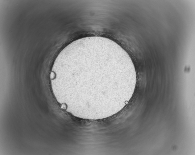 X0000101971057200808151333