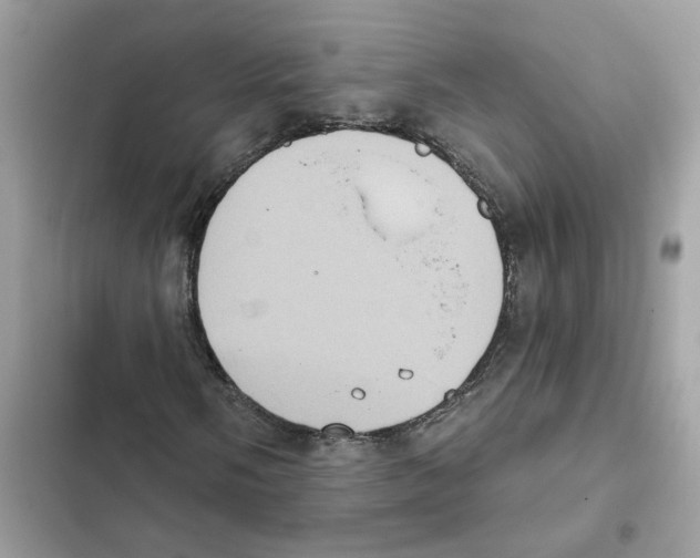 X0000101971058200808151333