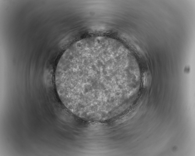 X0000101971059200808151333