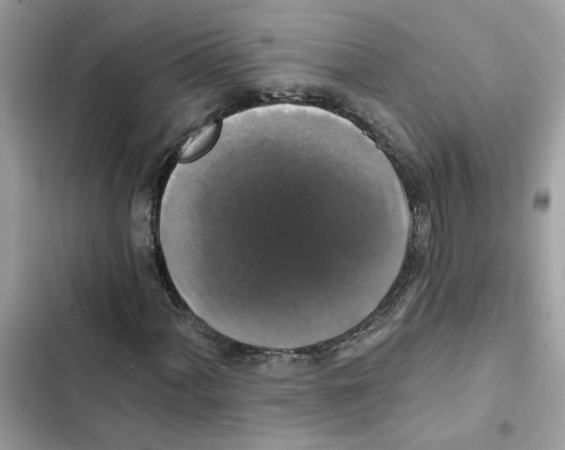 X0000101971060200808151333