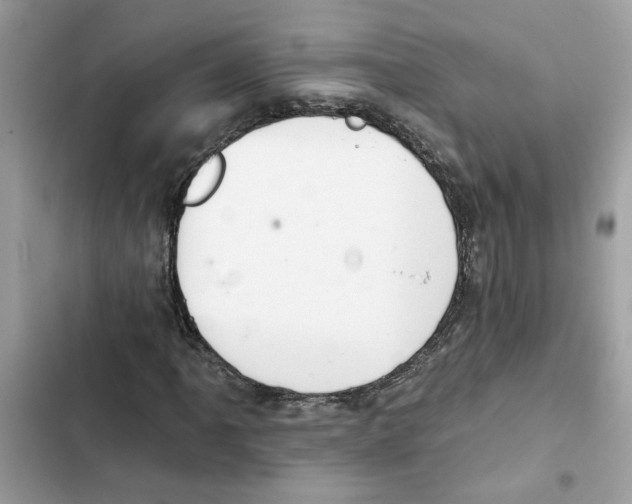 X0000101971061200808151332