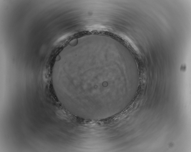 X0000101971063200808151332