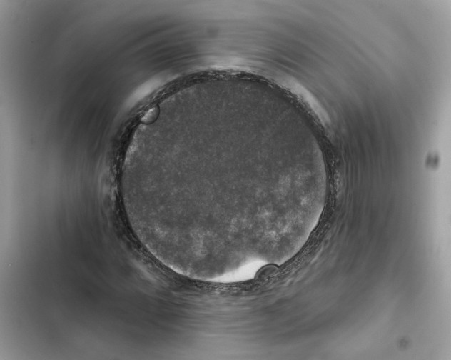 X0000101971064200808151332