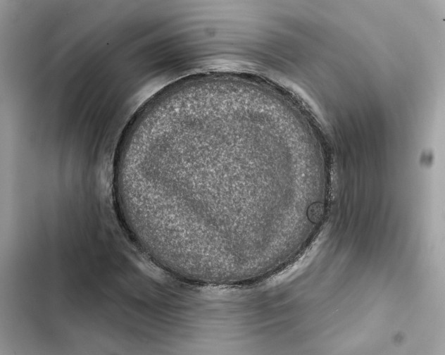 X0000101971065200808151332