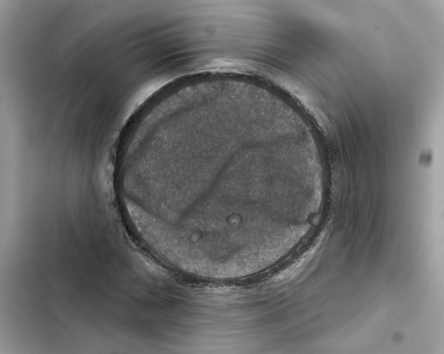 X0000101971066200808151332