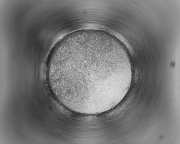 X0000101971067200808151332