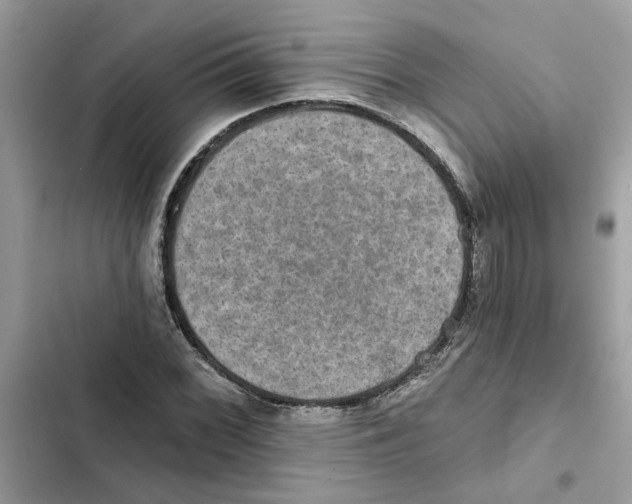X0000101971068200808151332