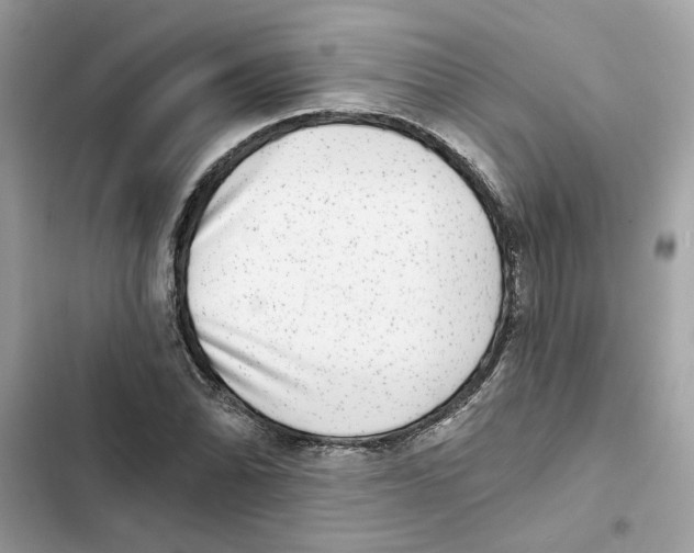 X0000101971070200808151332
