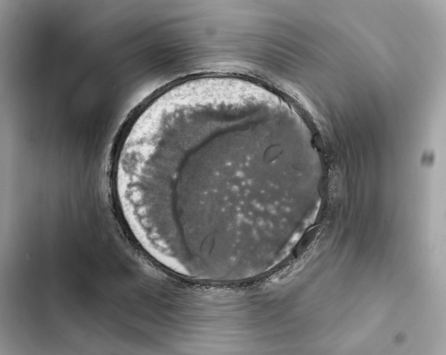 X0000101971071200808151332