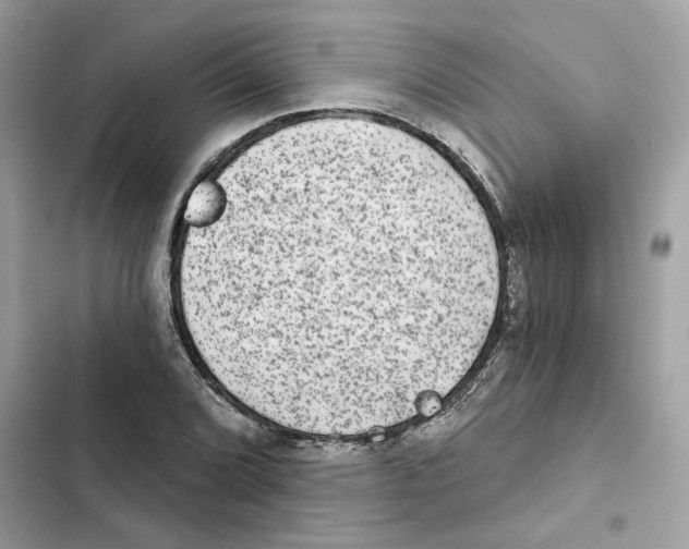 X0000101971072200808151332
