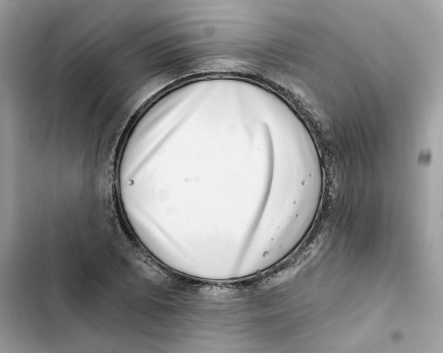 X0000101971073200808151332