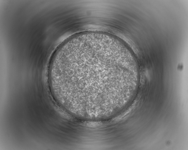 X0000101971074200808151332