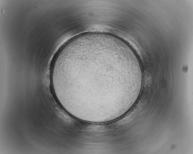 X0000101971075200808151332