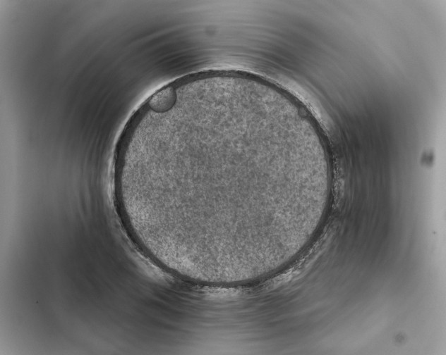 X0000101971076200808151332