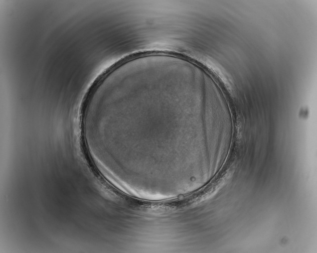 X0000101971077200808151332