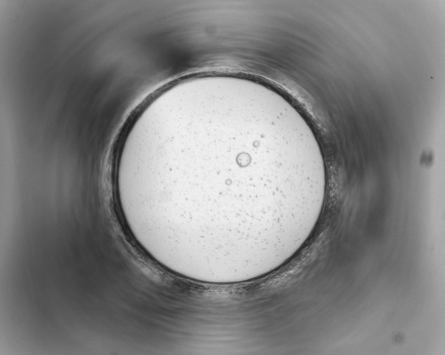 X0000101971078200808151332