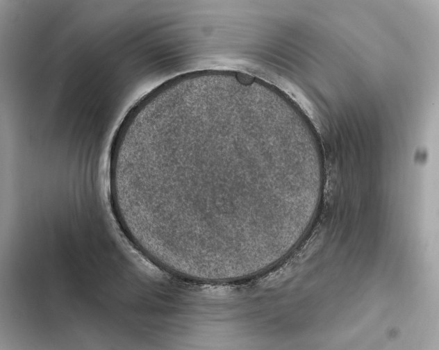X0000101971080200808151332