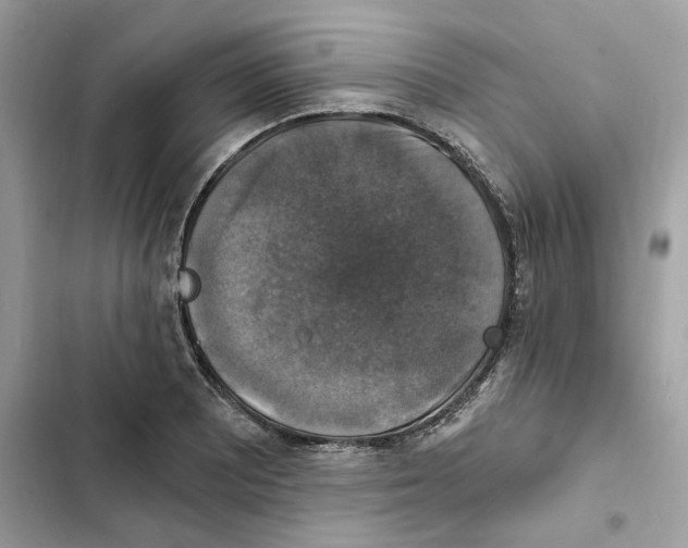 X0000101971081200808151332