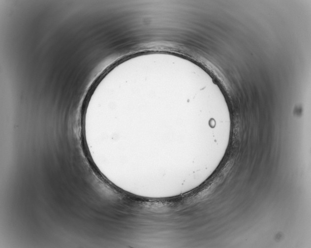 X0000101971082200808151332
