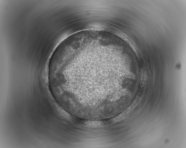 X0000101971083200808151332