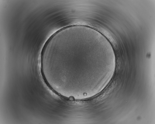 X0000101971084200808151332