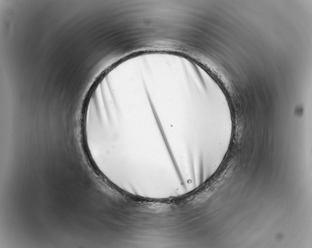 X0000101971085200808151332