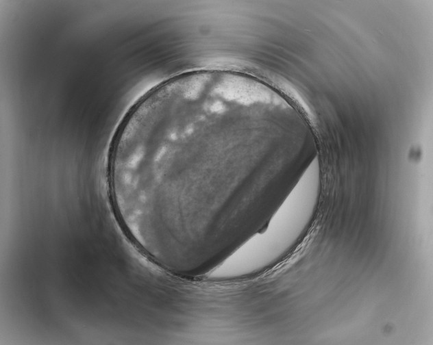X0000101971087200808151332