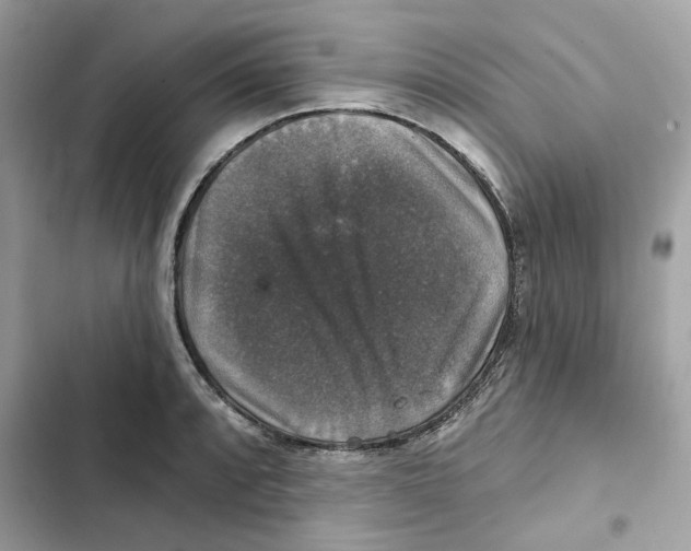X0000101971088200808151332
