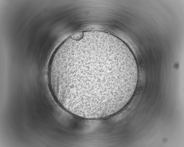 X0000101971090200808151332