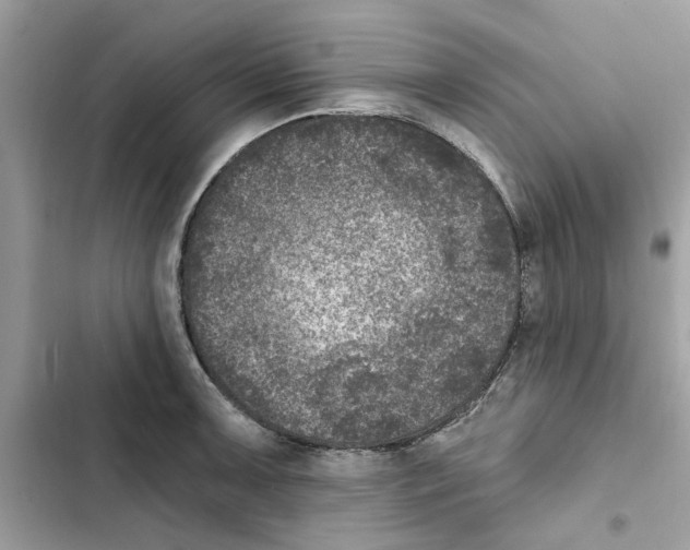 X0000101971091200808151332