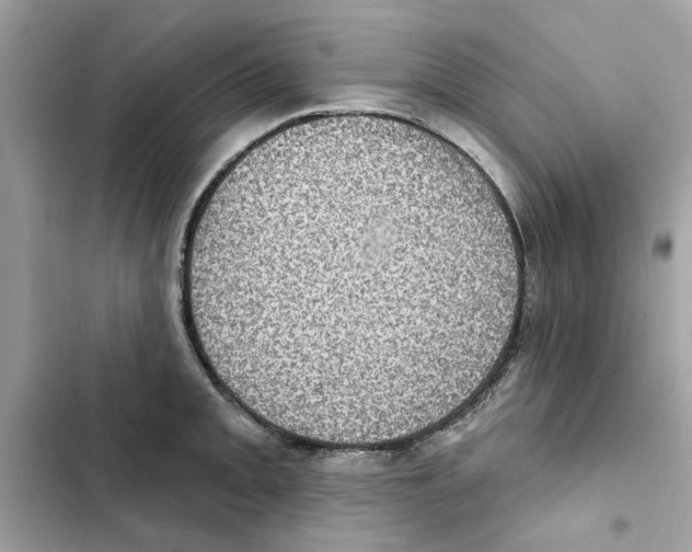X0000101971093200808151332